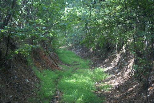 Original route of El Camino Real de los Tejas NHT