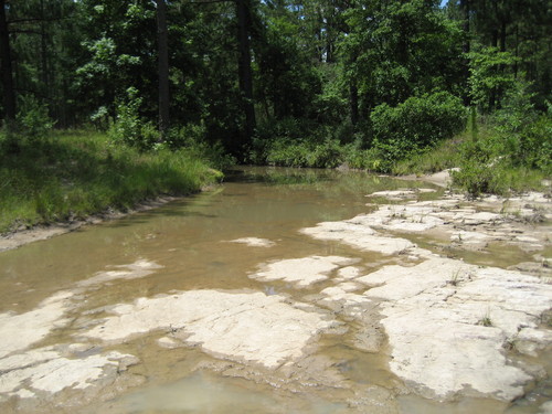 View of the stagecoach crossing on Sandy Creek near Stagestand. Visible are the worn cuts in the rocks made by the stagecoach wheels. 
