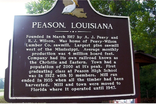 Historical marker dedicated to the sawmill town of Peason located at Peason Memorial Park. (Rickey Robertson Collection)