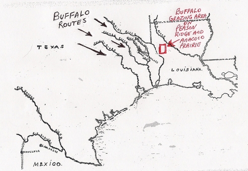  Map showing the routes the buffalo travelled to reach Peason Ridge and the Anacoco Prairie in Louisiana.