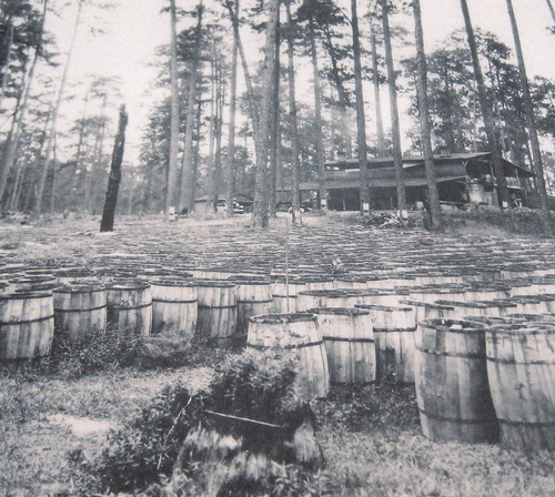 Large turpentine camp located on Dowden Creek in present day Peason Ridge Military Reservation. (Rickey Robertson Collection)