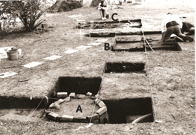 Excavation Site