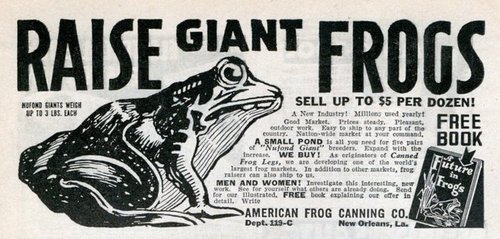 American Frog Leg Canning Poster