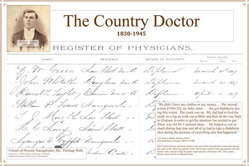 Country Doctor Poster