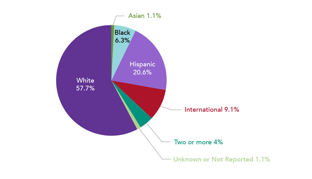 1.1% Asian, 6.3% Black or African American, 20.6% Hispanic, 9.1% International, 4%Two or More, 1.1% Unknown or Not Reported, 57.7% White