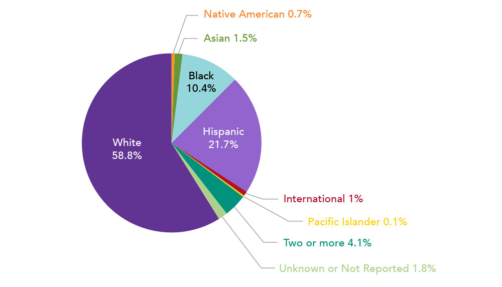 0.7% American Indian or Alaskan Native, 1.5% Asian, 10.4% Black or African American, 21.7% Hispanic, 1.0% International, 0.1% Native Hawaiian or Pacific Islander, 4.1% Two or More, 1.8% Unknown or Not Reported, 58.8% White