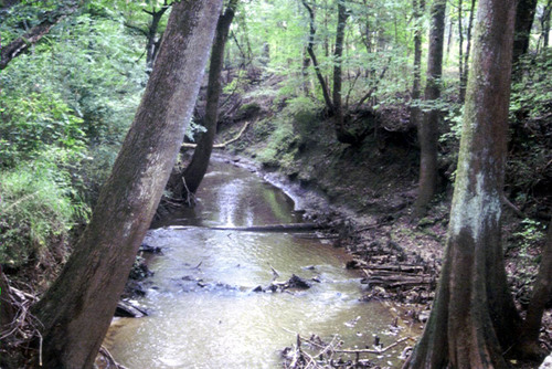 The historic Ayish Bayou in San Augustine, Texas