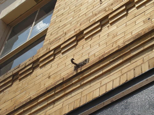 203 E. Main Wall Detail