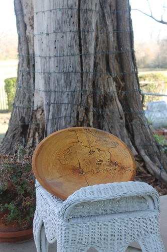 Bowl hand-carved out of the Russian Elm Tree