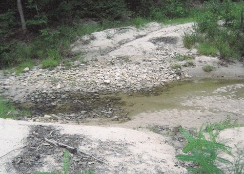 The old ford located on Sandy Creek used by travelers near the Houston and Billy Dowden homesteads.