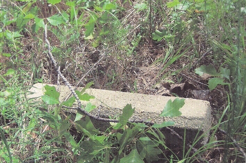 One of the possible grave site markers located at the Peavy-Wilson Corral Site. This marker has been knocked over through the years. (Rickey Robertson Collection)