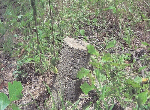 The other possible grave marker located at the Peavy-Wilson Corral Site is still standing. (Rickey Robertson Collection)