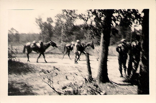 Cavalrymen coming through the community of Peason, La. during the 1941 Louisiana Maneuvers. (Rickey Robertson Collection)