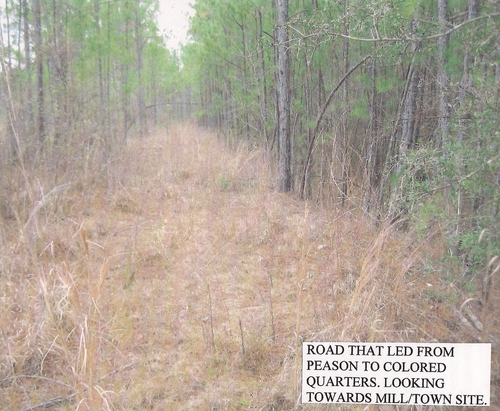 The road to the old Peason Colored Quarters still exists that ran from the mill to the quarters. (Rickey Robertson Collection)