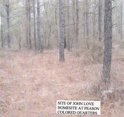 Location of the homesite of John and Vina Love in the Peason Colored Quarters. (Rickey Robertson Collection)