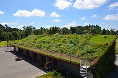  Photo of a green roof. Ethan Kauffmann will present 