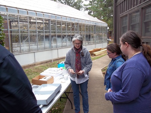 Textile Cleaning at the Stone Fort