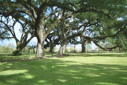 Oakland Plantation