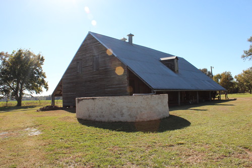 2016 Oct 29 - Magnolia Plantation 3