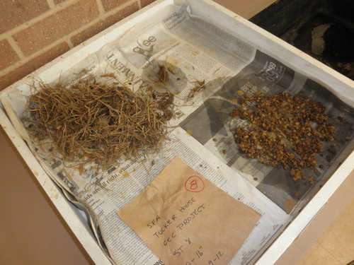 Hurley, Archaeology Lab 1