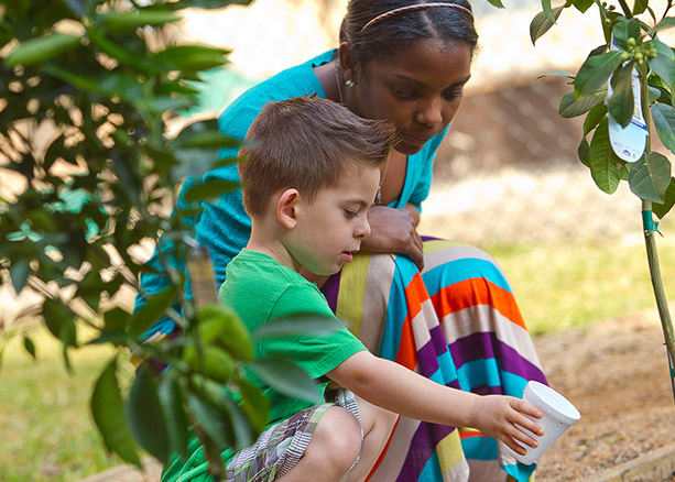 Child Welfare Professional Development Project