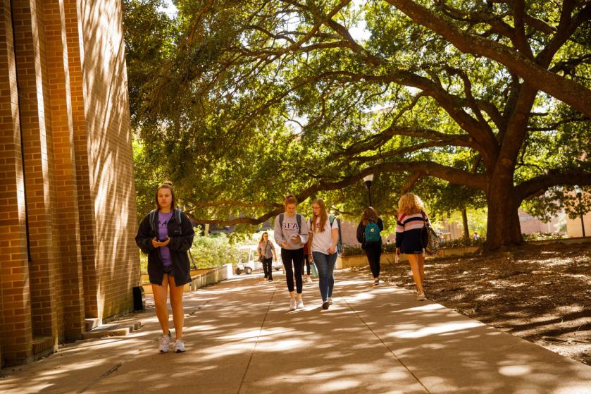 students walking beneath trees