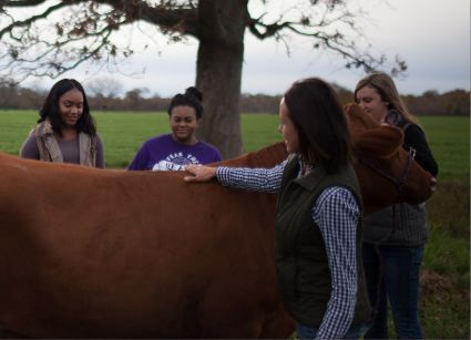 Dr. Brown with students and cow