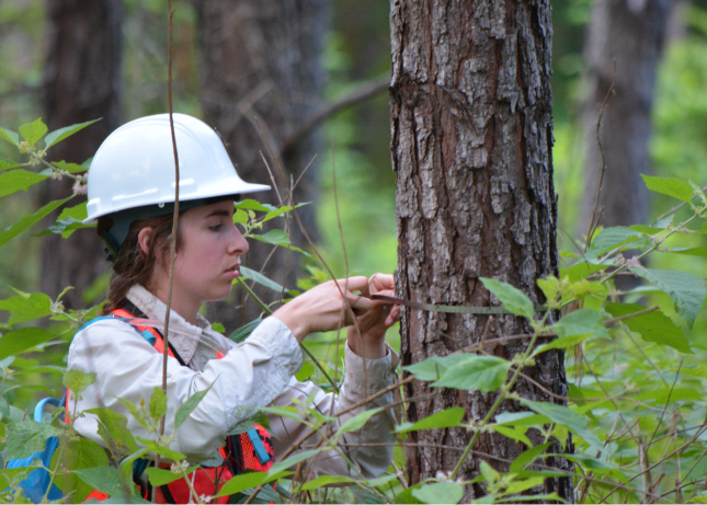 forestry student at field station