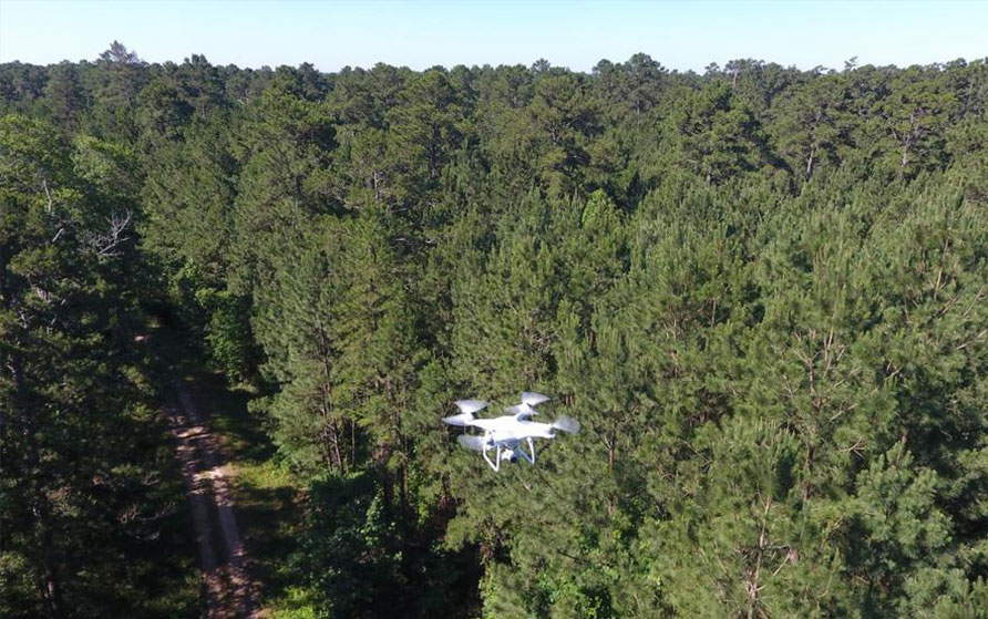drone flying above a tree line