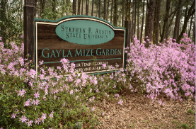 the mize azalea gardens sign