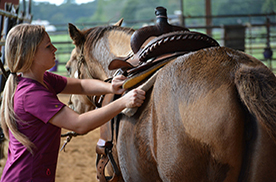 student adjusting saddle on horse
