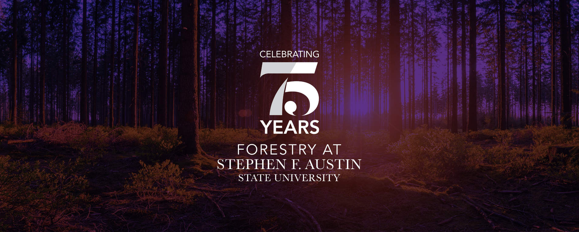 celebrating 75 years of forestry at S F A