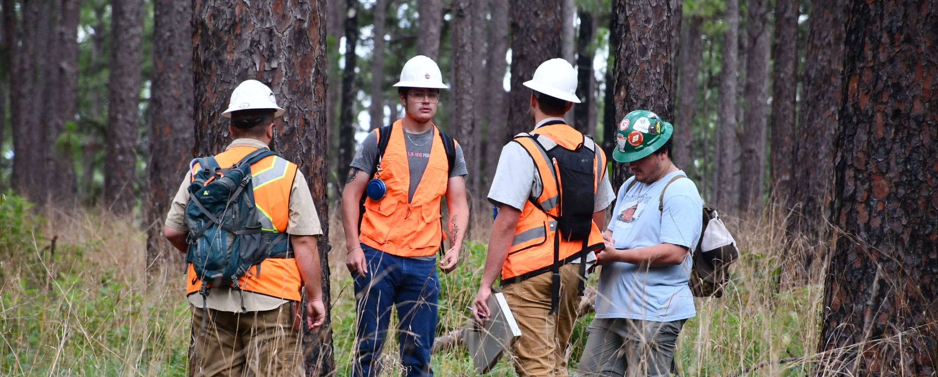 forestry students doing research in the woods