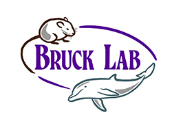 Bruck lab logo