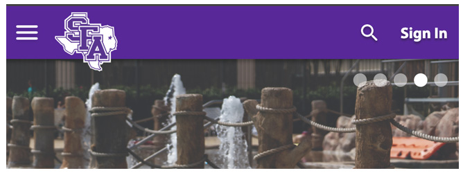 Select the "Sign In" option in the top navigation