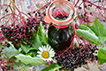 elderberries and elderberry juice