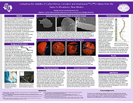 Natalya Plourde Poster