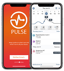 Brightspace Pulse app on a mobile phone