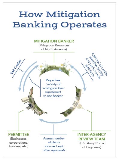 Infographic showing how mitigation banking operates