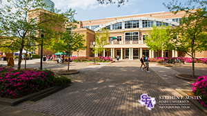Zoom Background 17 - Baker Pattillo Student Center Courtyard