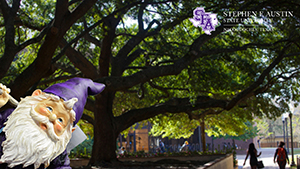 Zoom Background 24 - Large Tree on Campus with SFA Gnome