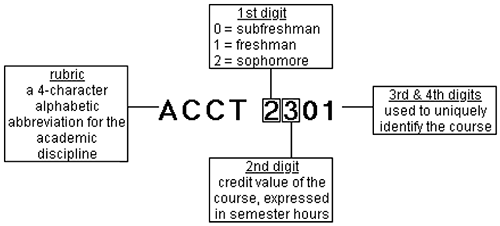 TCCN structure diagram