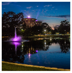 Ag pond with purple victory lights shining above Steen Hall