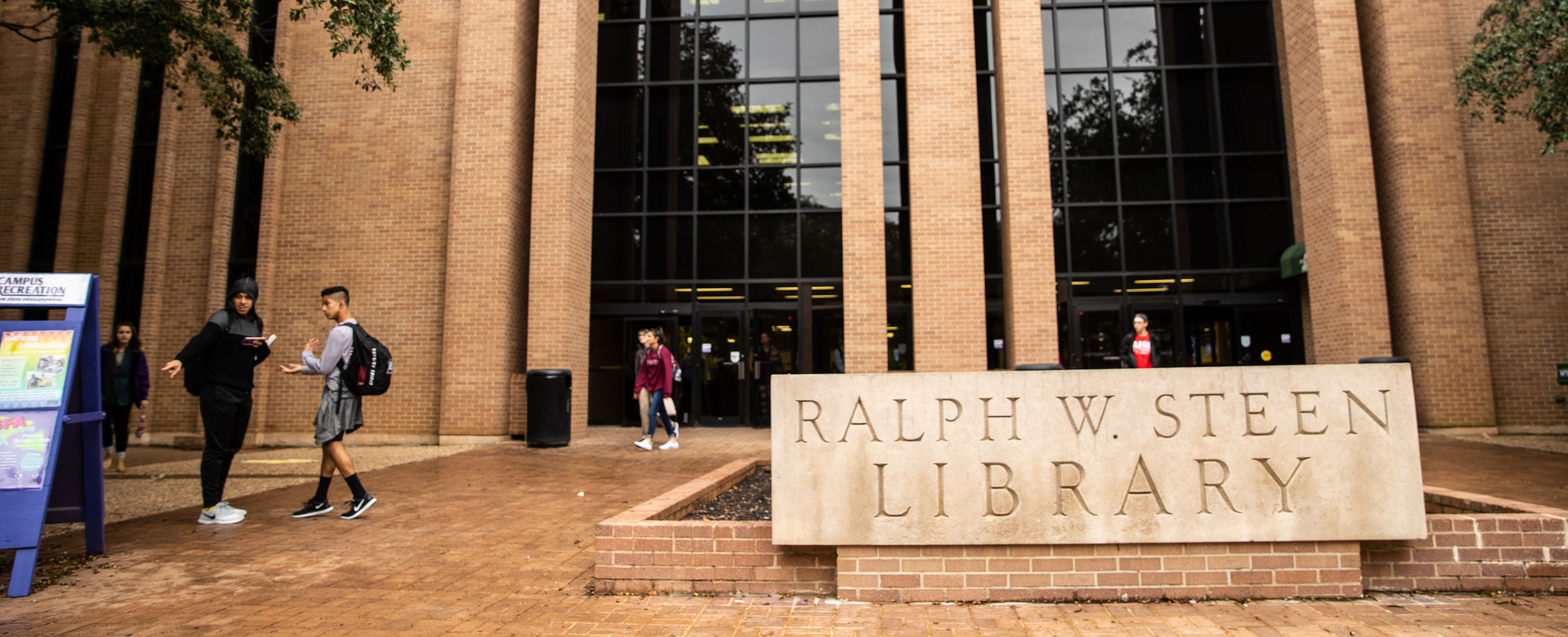 Steen Library