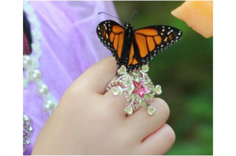 photo of girl holding butterfly