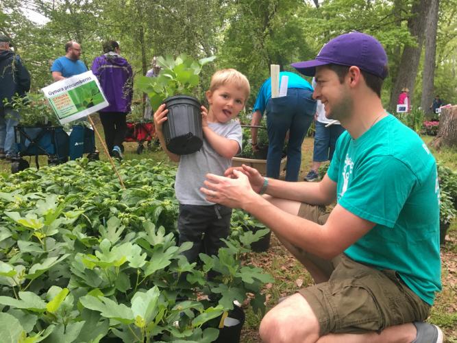 Theodore and Matthew Gallagher choose just the right fig tree for their garden during a previous SFA Gardens plant sale.