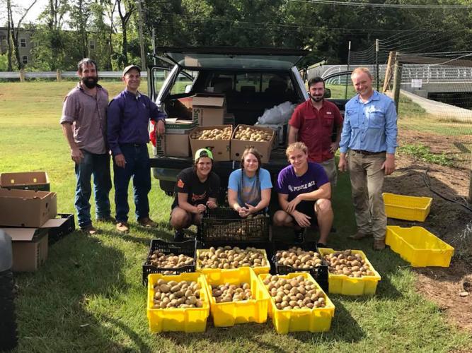 Pictured with this year's kiwifruit harvest are  Duke Pittman and Malcolm Turner, SFA Gardens technicians; Elzanne Naude, Samantha Holding, Christopher Vondergroeben and John Dilday, SFA Gardens student workers; and Tim Hartmann, program specialist in horticulture.