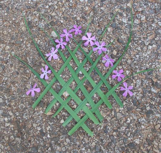 an example of eco-art