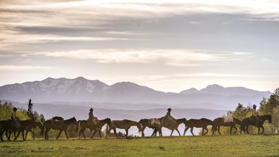 screenshot from the film "Unbranded"