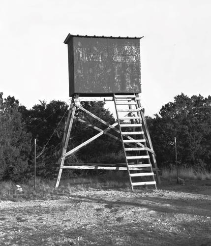 the photo “Deer Blind” taken by SFA student John Allen